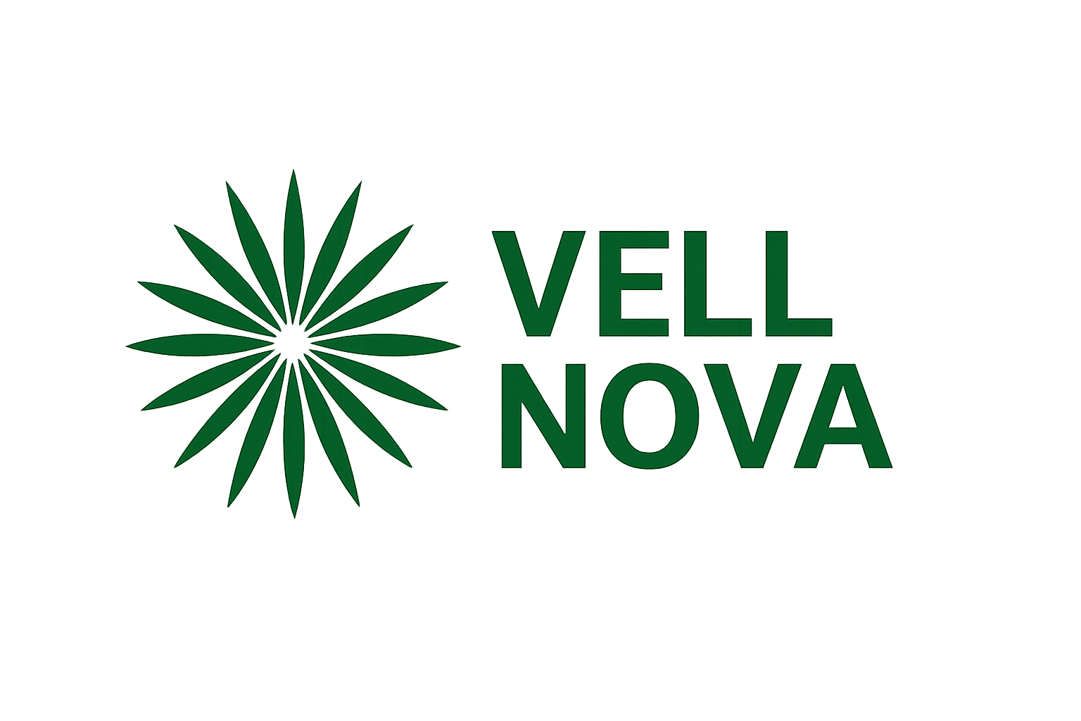 vnovaholdings.com